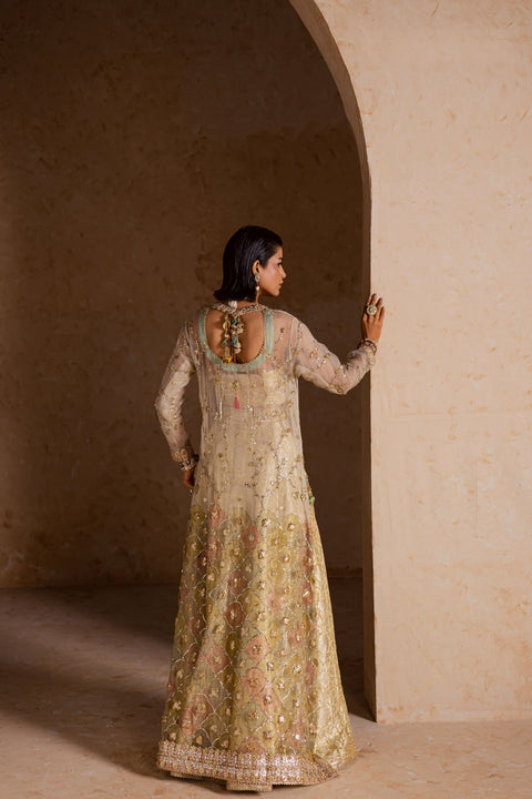 Mahveen Collection - MV005