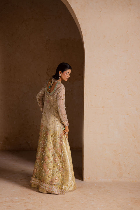 Mahveen Collection - MV005